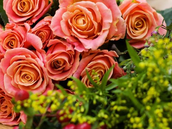 Florist Listing Category Fashion Flowers