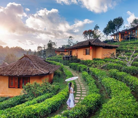 Wedding Listing Location Taxonomy Kerala