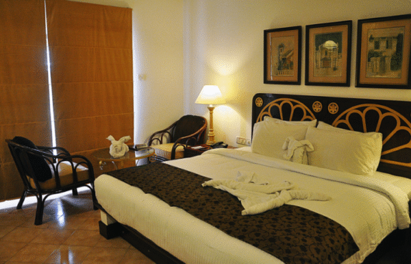 Coconut groove Gallery 0