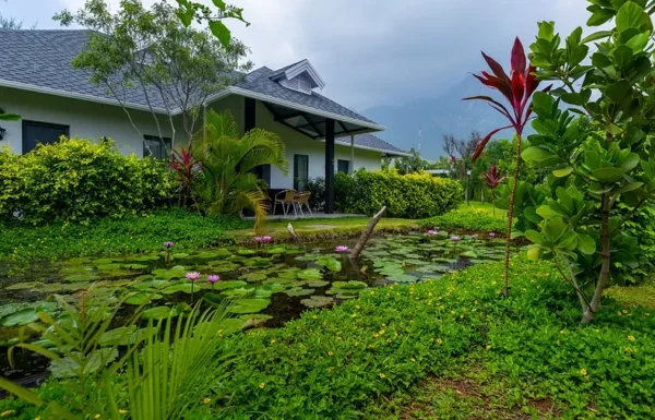 DARZA – Luxury Gallery 6