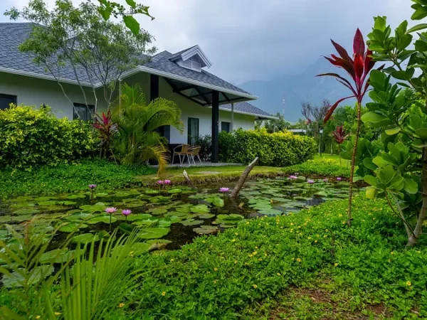 Venue Listing Category DARZA – Luxury