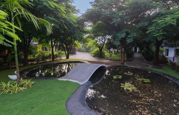 DARZA – Luxury Gallery 4