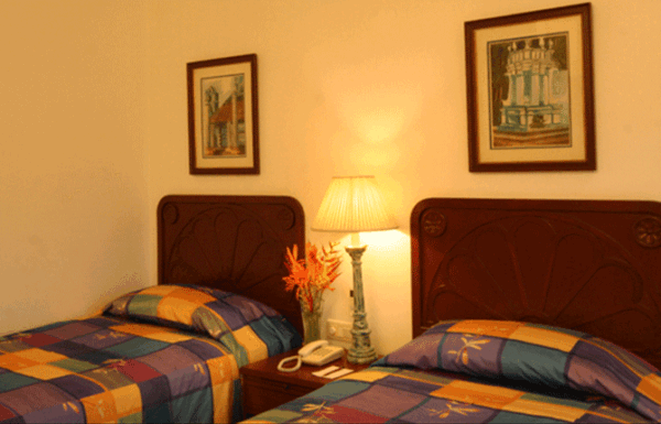 Coconut groove Gallery 2