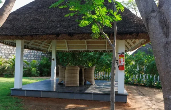 DARZA – Luxury Gallery 0