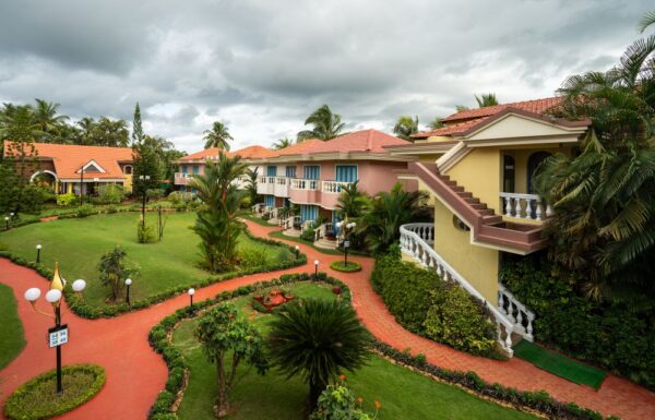 Coconut groove Gallery 8