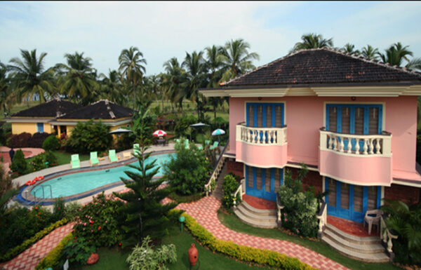 Coconut groove Gallery 5