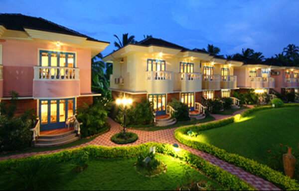 Coconut groove Gallery 6