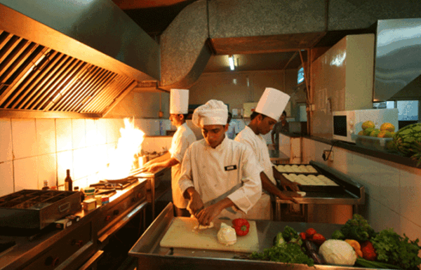 Coconut groove Gallery 7